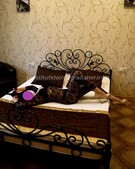 Анкета проститутки Рената - метро Дорогомилово, возраст - 21